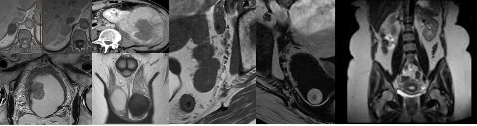 registrar day image registrar day image